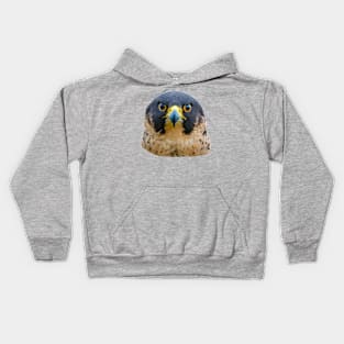 Peregrine Stare Kids Hoodie